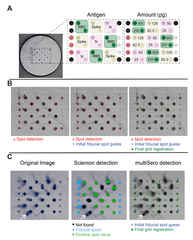 Graphical abstract for MultiSero: An Open-Source Multiplex-ELISA Platform for Measuring Antibody Responses to Infection